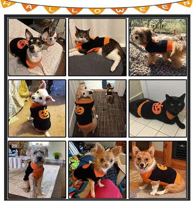 Пуловер для собак на Хелловін з гарбузом, костюм для домашніх тварин, модна футболка для собак та котів, подарунок для цуценят, розмір XXL