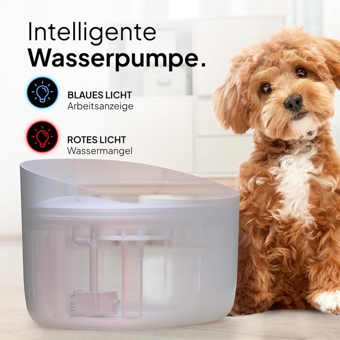 Джерело питної води для собак Pretty PAW® 7л з LED та фільтром | Безпечний, тихий, легко чистити | Білий