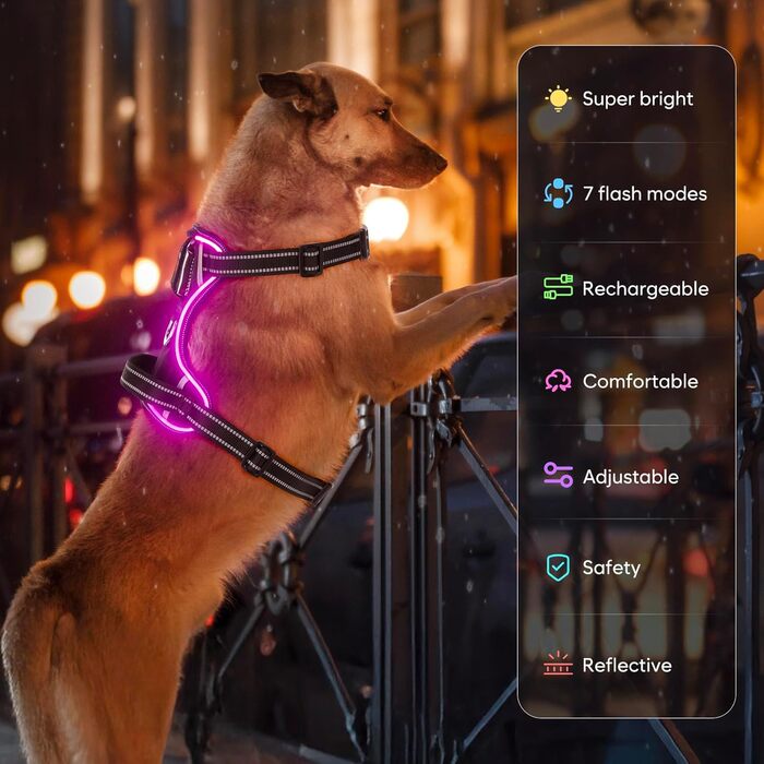 Світловідбиваючий жилет для собак Colaseeme Light з LED-підсвічуванням, регульований, чорний, розмір S