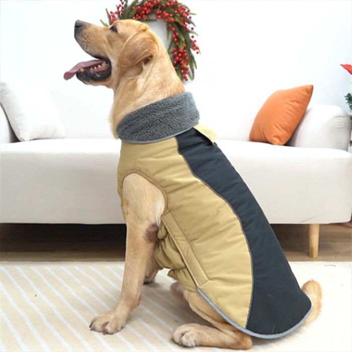 Теплий зимовий пуховик для собак - утеплена спинка, для малих та середніх порід, як ізоляція від холоду (B, One Size)