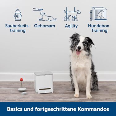 PetSafe Teach & Treat – дистанційний тренер для собак, автоматична видача ласощів, для навчання та позитивного підкріплення, сірий, працює від 4 батарейок D