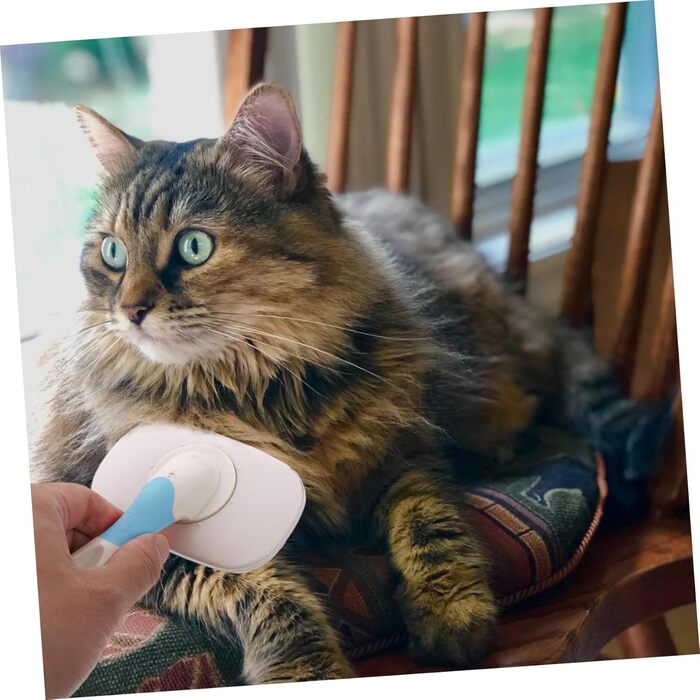 Масажна щітка для тварин ULTECHNOVO 3 шт. для котів та собак з довгим хутром, синього кольору, 15x10x2.2 см