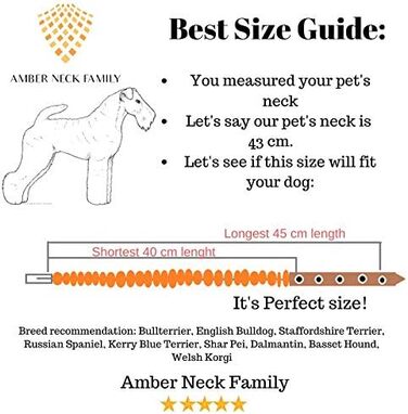 Нашийник для собак з бурштину Amber Neck, ручна робота, натуральний балтійський бурштин, справжня шкіра, регульований, подарункова упаковка, 40-45 см