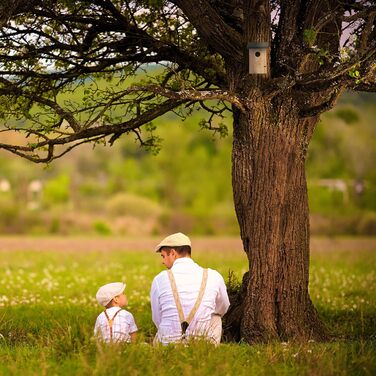 Кормушка для птахів Relaxdays з отвором 35 мм, на кришці, для синиць та зябликів, підвісна, зелений колір