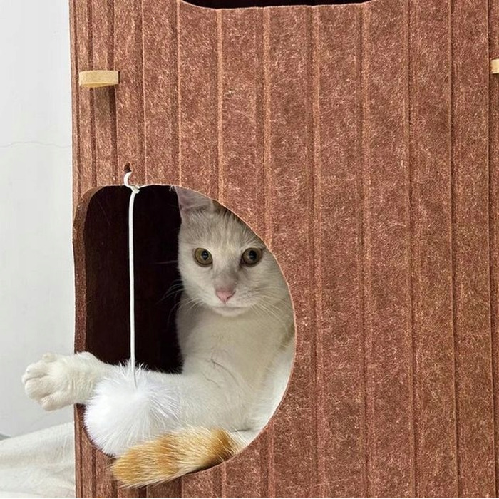 Будник для котів KUNERT, коричневий, круглий (90 см x 37 см x 90 см)