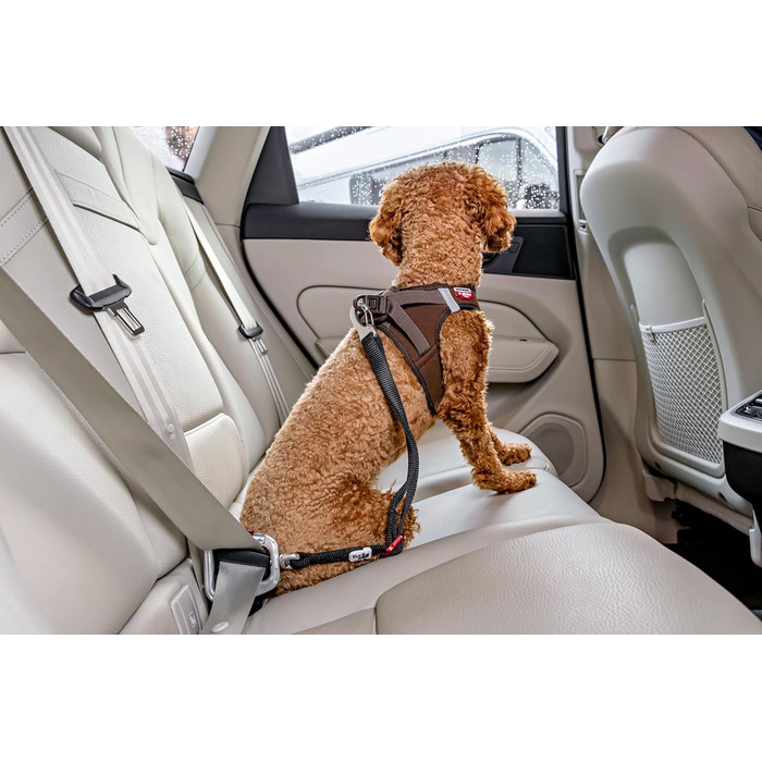 Ремінь безпеки для автомобіля V2 L Large