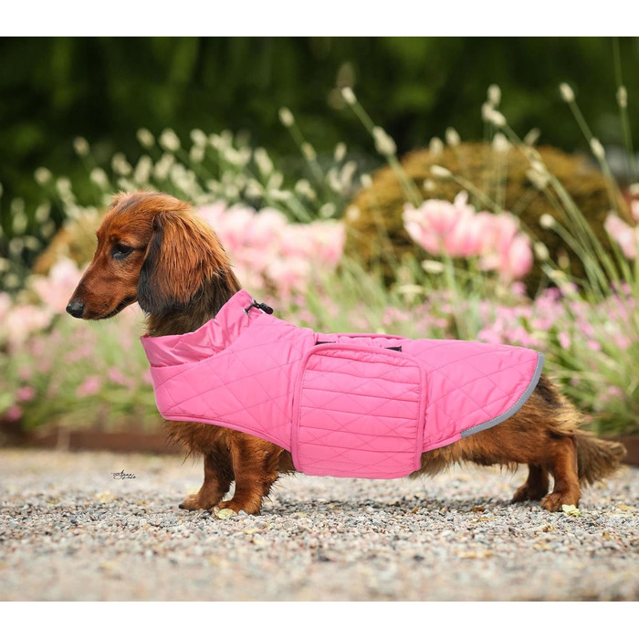 Водонепроникна зимова куртка для такс Babepet з флісовою підкладкою, світловідбиваючий пуловер з отвором для шлейки, розмір L (M(спинка:36см), рожевий)