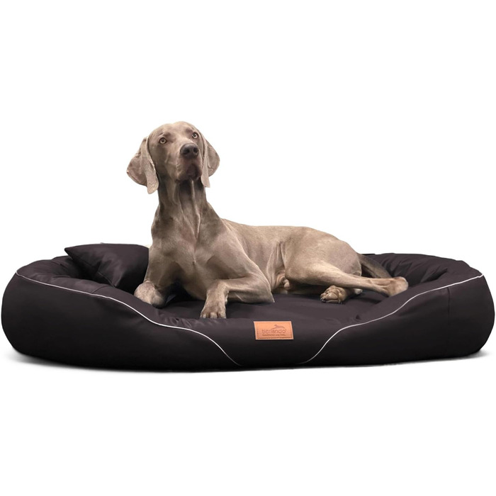 Ортопедичне собаче ліжко Tierlando® Tiffany Easy CLEAN з екошкіри – для великих собак (XL XXL) – гіпоалергенне з анти-шерстю покриттям та Memory Foam – розмір: 115x90 см, колір: коричневий