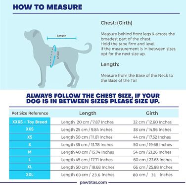 Ветровка для собак Pawtitas, вітронепроникна, водовідштовхувальна, чорно-блакитно-зелена, для великих порід, з кишенею, XX-Large (1 шт.)