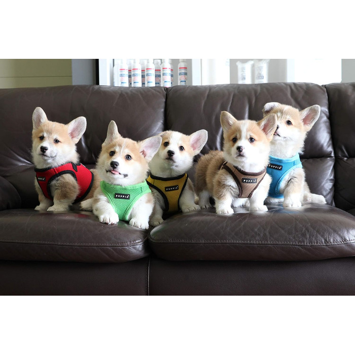 Нагрудник для собак Puppia, чорний, X-Large (XL) - м'яка жилетка, для малих та середніх собак, також для цуценят, анти-тягучий