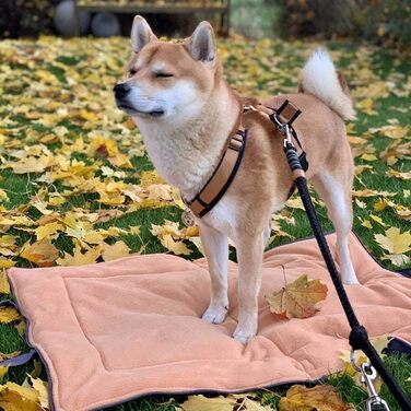 Килимок для собак Univok: портативний, миючий, двоколірний (блакитно-зелений/сірий)