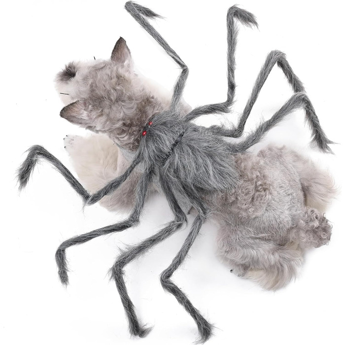 Костюм на Хелловін для домашніх тварин BT Bear: павук, для собак, Cosplay, розмір M, сірий