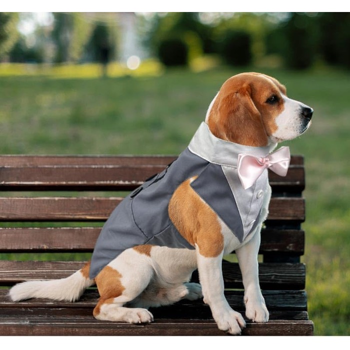 Костюм для собак Lamiaraga сірого кольору, формальний одяг, ідеальний для святкування дня народження, як ринг-берер, костюм для собак, розмір XX-Large
