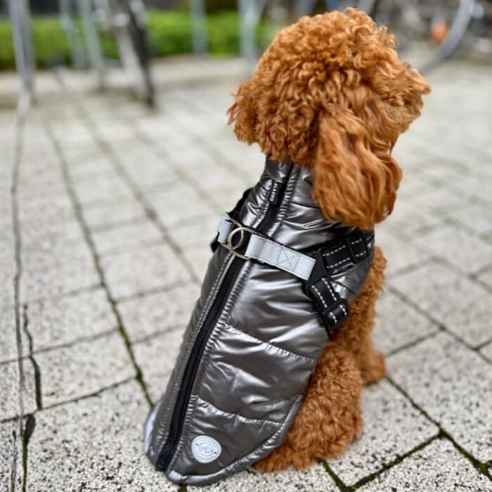 Водонепроникна куртка для собак 2-в-1 зі вбудованим шлейкою – зимова куртка з відбиваючими елементами для собак маленьких, середніх та великих порід – вітронепроникна, зручна та легка у догляді, сіра, розмір S