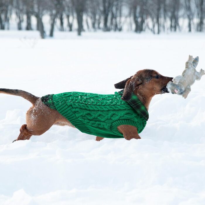 Теплий собачий светр CITE TOILE з візерунком у клітинку, комір-гетр та отворами для повідка – зимовий одяг для собак маленьких, середніх та великих порід, светр для котів на Різдво (L, Зелений)