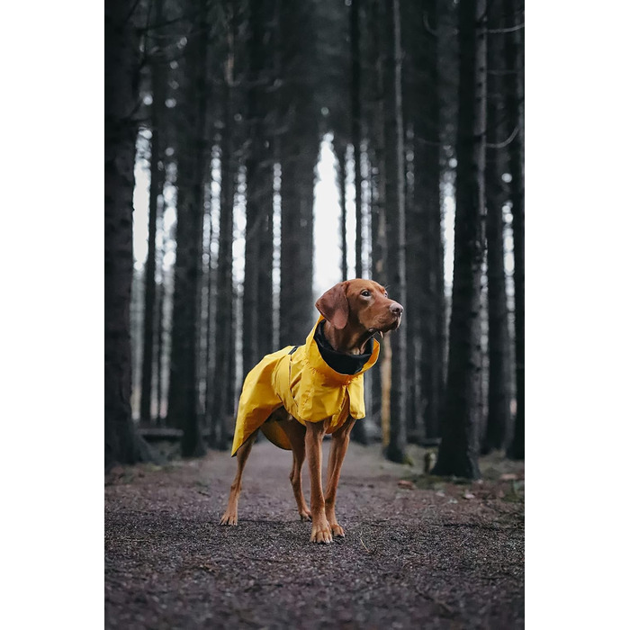 Жовтий дощовик PAIKKA Sichtbarkeit Lite – яскравий та легкий для активного відпочинку