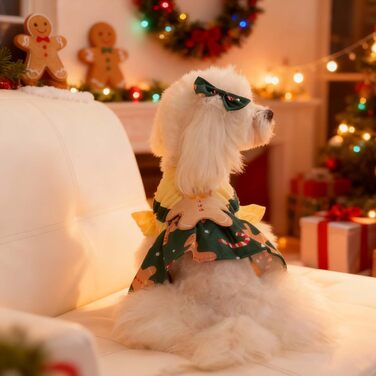 Костюм для собак 