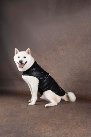 Зимовий теплий нашийник для собак Sergio Schwarz, чорний, A:45см, штучна шкіра, з флісовою підкладкою