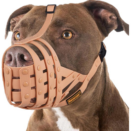 розмір: m [ніс: 9,75'-11']