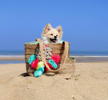 Сумка для собак Dog with a Mission Woodstock: містка переноска для маленьких собак та цуценят, сумка для вигулу, сумка на пляж, джут, 41 x 20 x 30 см