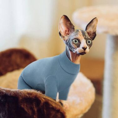 Светр для котів Sphynx, після операції, з чотирма лапами, одяг для котів, універсальний, для Sphynx, Cornish Rex, Devon Rex, Peterbald