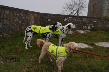 Світловідбиваючий флісовий теплий жилет для собак, 5 розмірів – висока видимість, безпека на дорозі та під час полювання, оранжевий