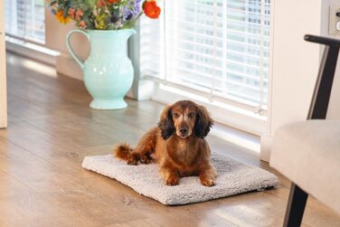 Крісло-гніздо для собак Beeztees Ito, ортопедичне, сірого кольору, 62x44x4 см