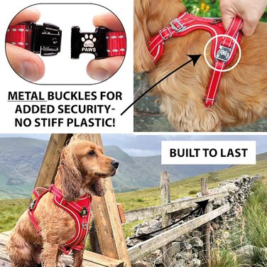 Elite Paws UK: Преміум шлейка для собак з металевою пряжкою, міцна, безпечна, м'яка, регульована, світловідбивна, для прогулянок і тренувань