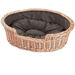 колір: природа