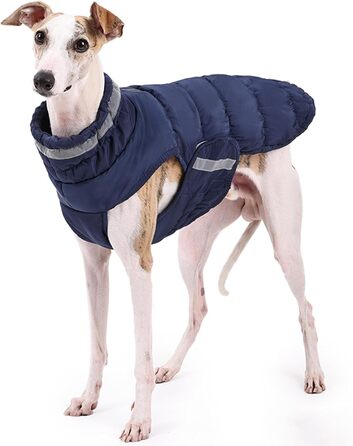 Легкий теплий дощовик для собак великих та середніх порід, нейлон, блакитний, 3XL