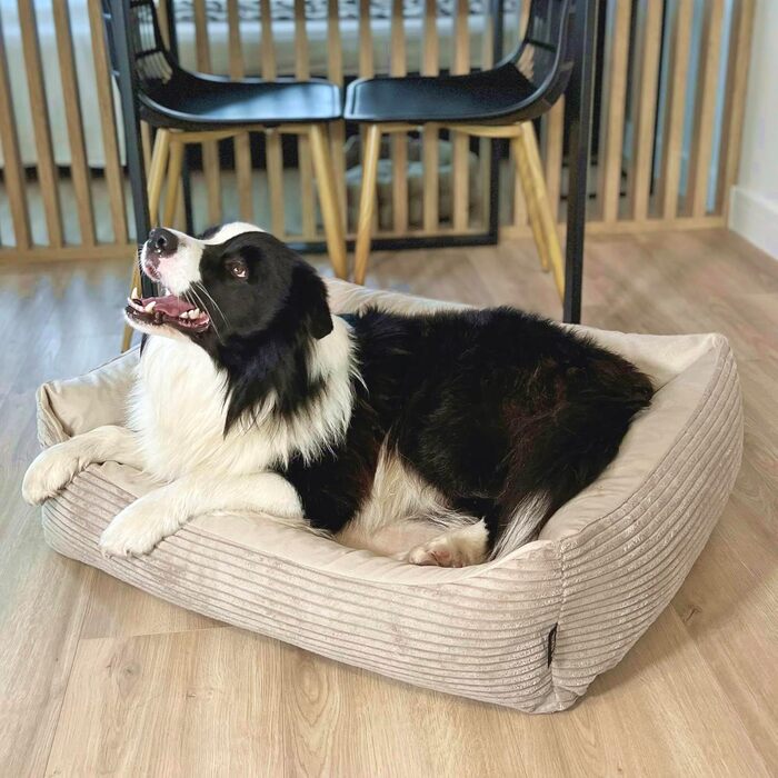 Зручне ліжко для собак 4L Textil Otto з знімним та пральним покриттям, кошик для собак, подушка для середніх собак, пухнасте, диван для собак (100 x 80 см, смужки 04) Розміри: 100 x 80 x 20 см, Бежевий