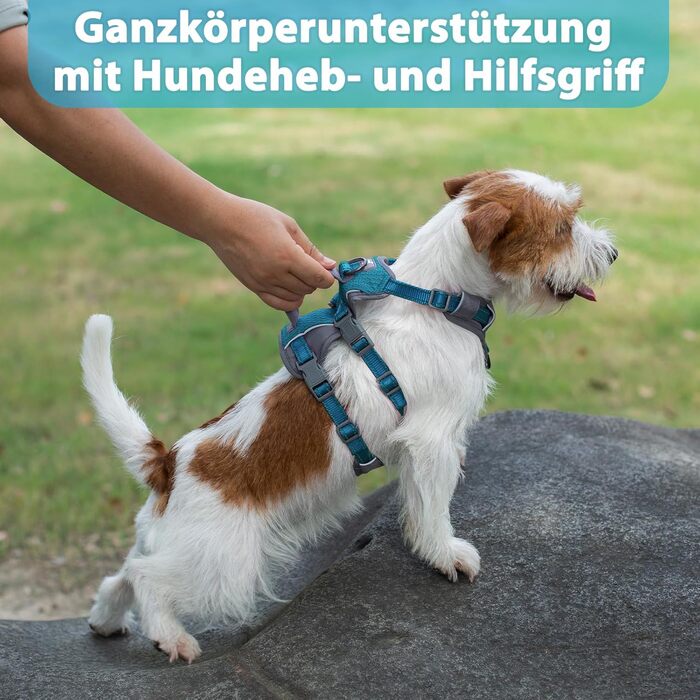 Нашийник-шлейка Huntboo для собак, анти-випадковий вихід, для панічних собак, світловідбиваючий нашийник з ручкою, регульований (S, 1 шт., блакитно-зелений)