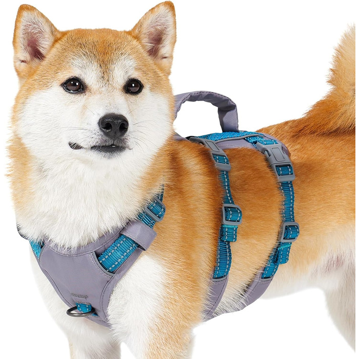 Нашийник-шлейка Huntboo для собак, анти-випадковий вихід, для панічних собак, світловідбиваючий нашийник з ручкою, регульований (S, 1 шт., блакитно-зелений)