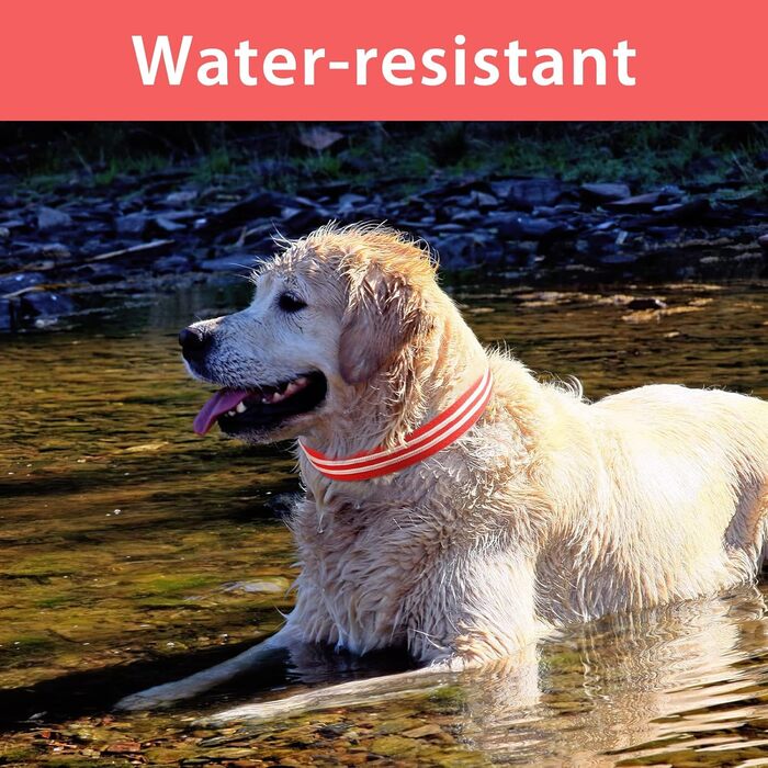 Світлодіодне нашийник для собак PCoTllar, зарядний, 3 режими світіння, регульований, водонепроникний, для малих, середніх та великих собак, блакитний, L (48-60 см)